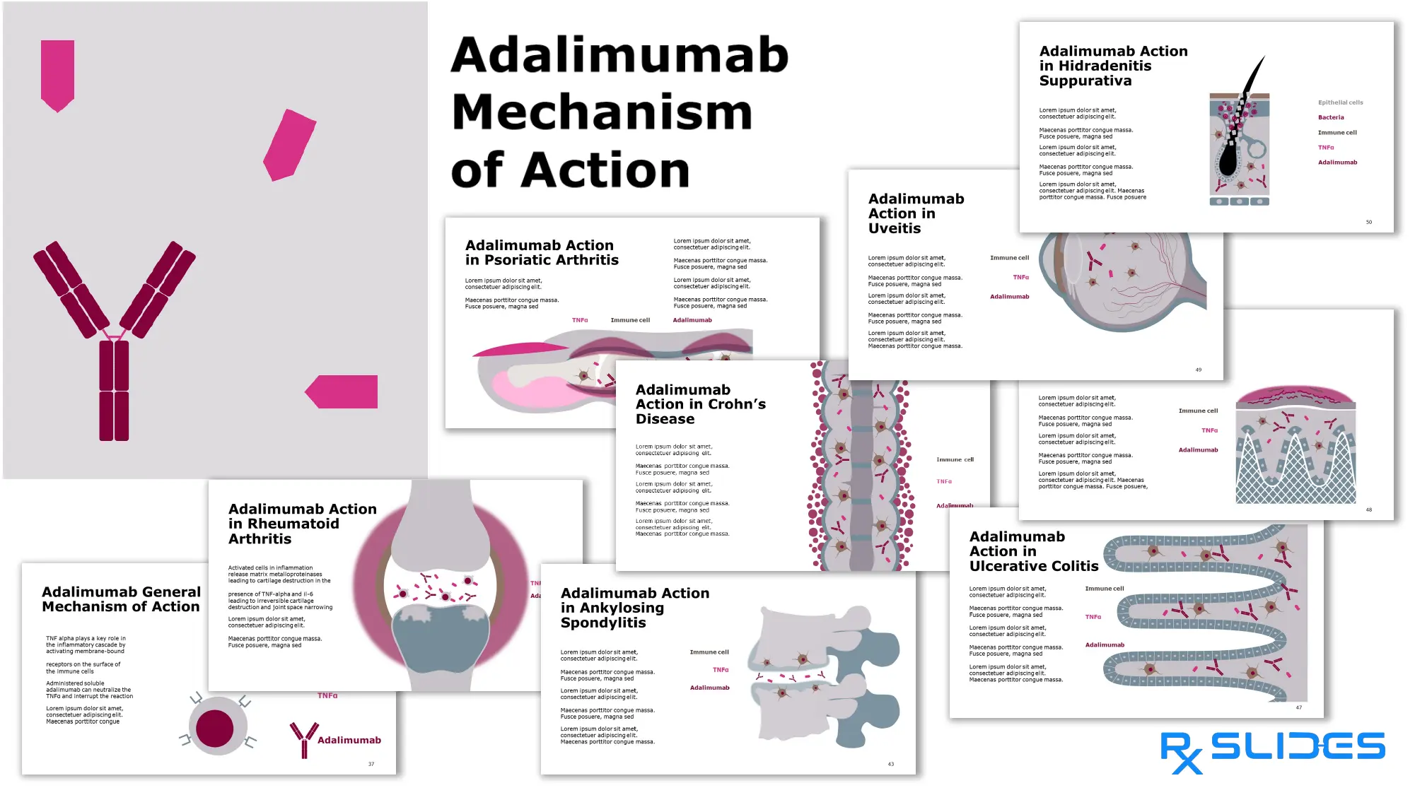 Download adalimumab powerpoint template rxslides